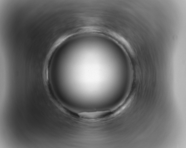X0000099961365200805231333
