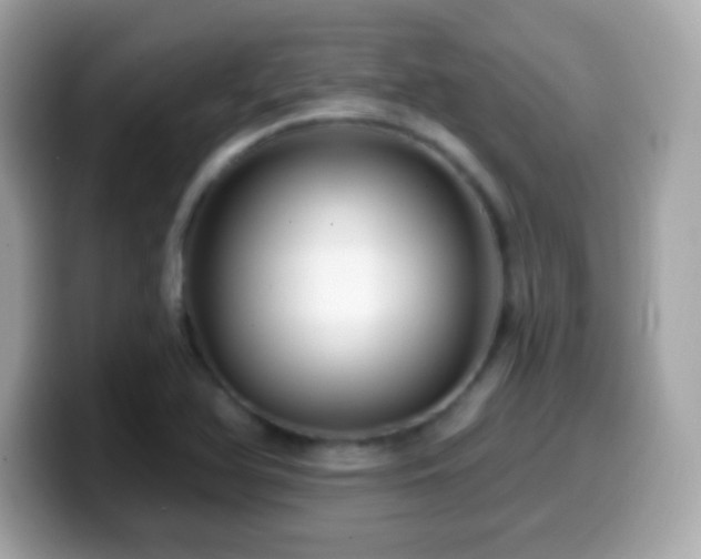 X0000099961366200805231333