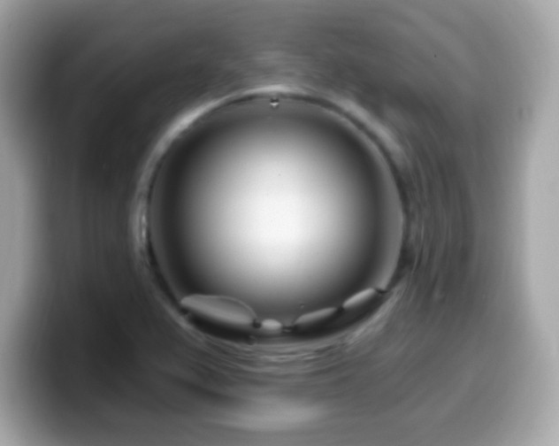 X0000099961367200805231333