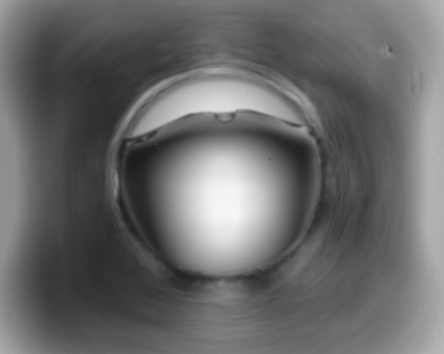X0000099961368200805231333