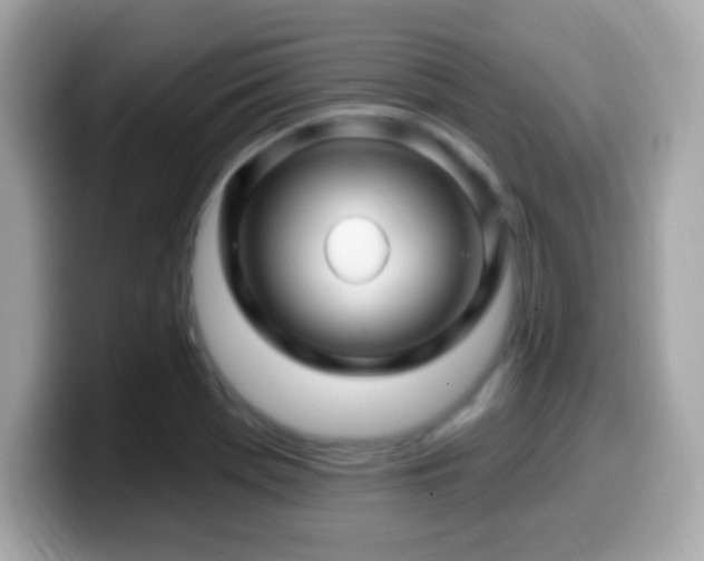 X0000099961369200805231333