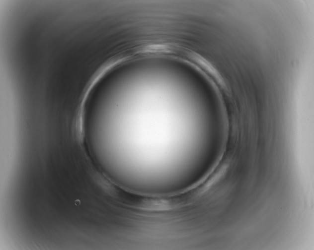 X0000099961370200805231333