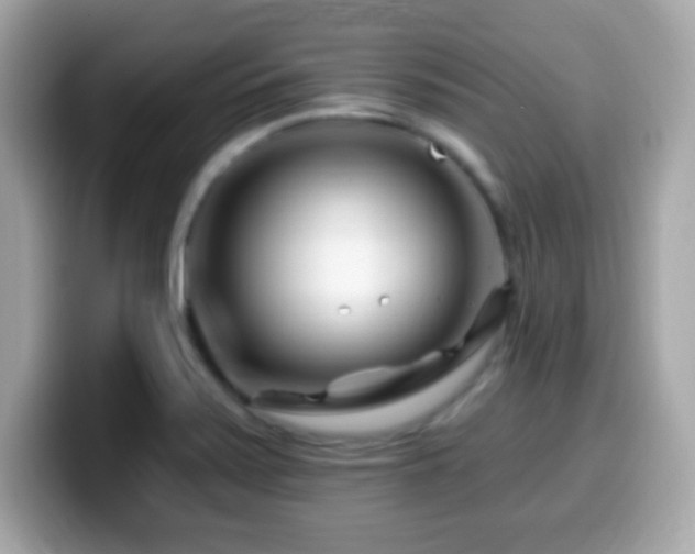 X0000099961371200805231333