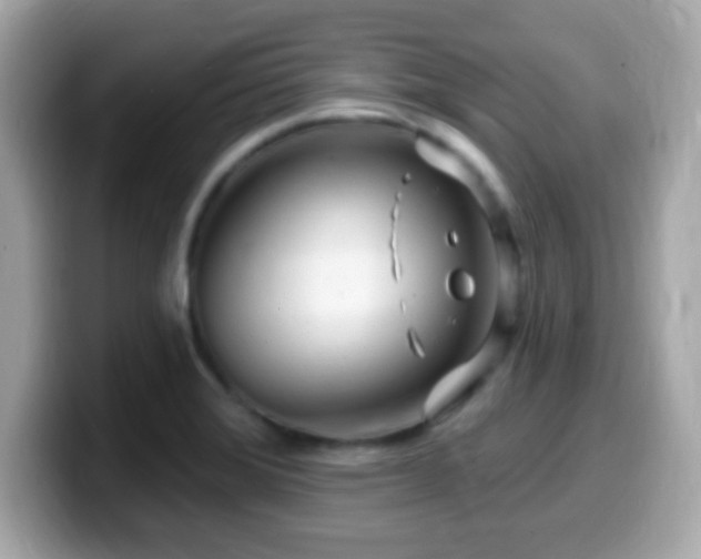 X0000099961372200805231333