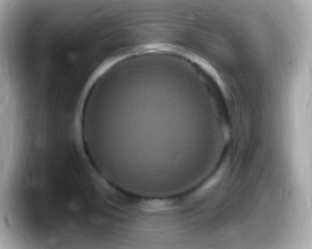 X0000099961373200805231333