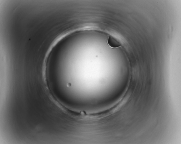 X0000099961374200805231333