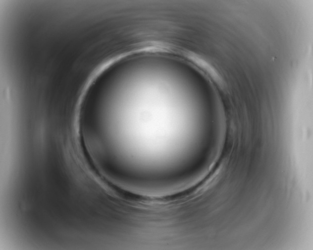 X0000099961375200805231333