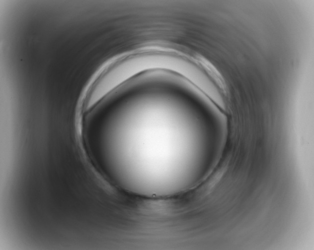 X0000099961376200805231333