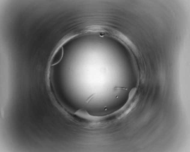 X0000099961378200805231333