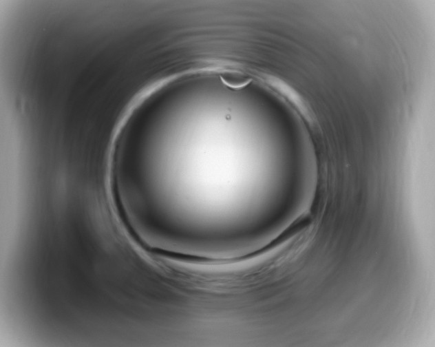 X0000099961379200805231333
