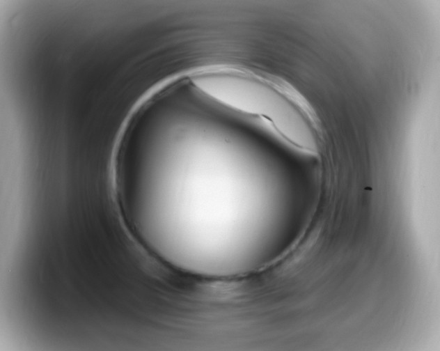 X0000099961380200805231333