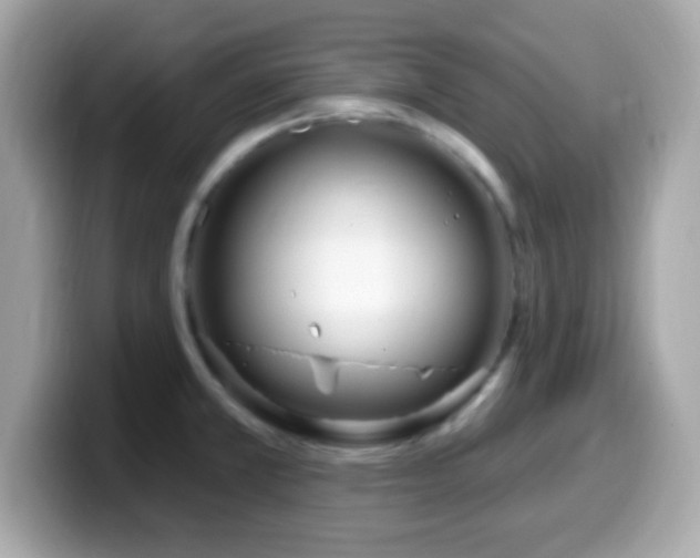 X0000099961381200805231333