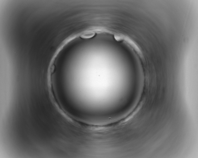X0000099961382200805231333