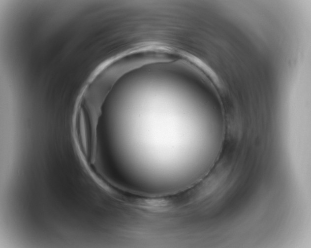 X0000099961383200805231333