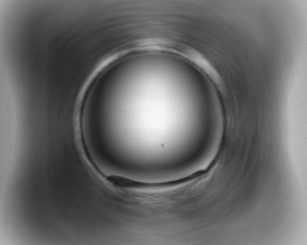 X0000099961384200805231333