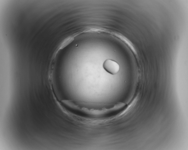 X0000099961385200805231333