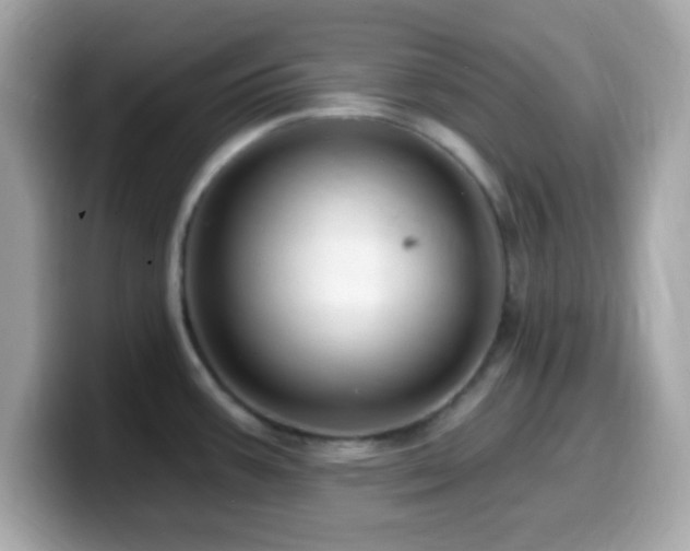 X0000099961387200805231333