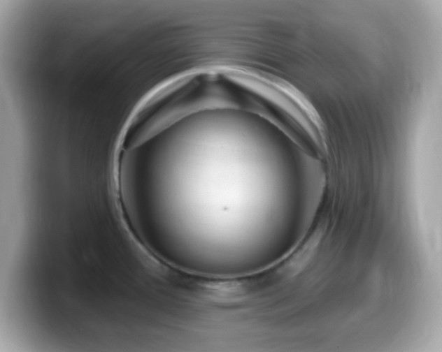 X0000099961388200805231333