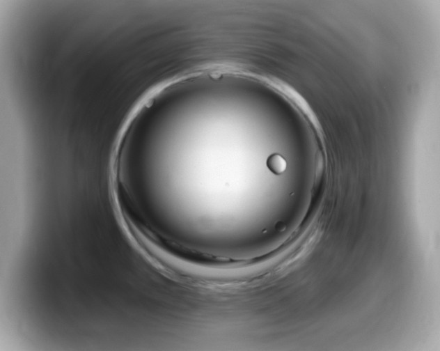 X0000099961389200805231333