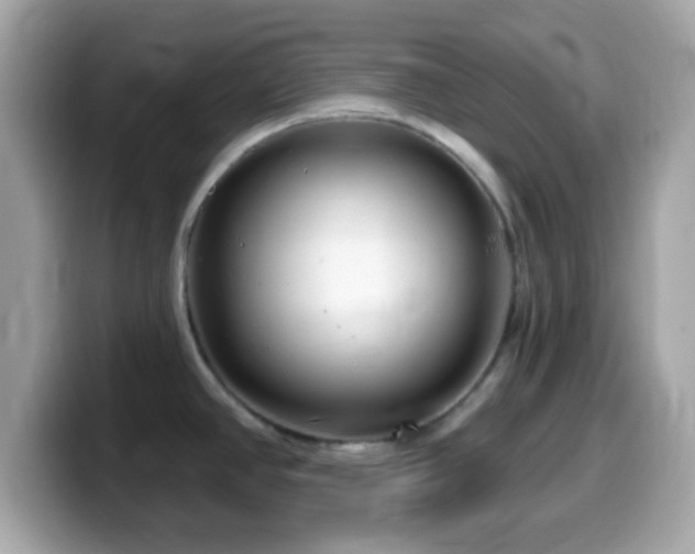 X0000099961390200805231333