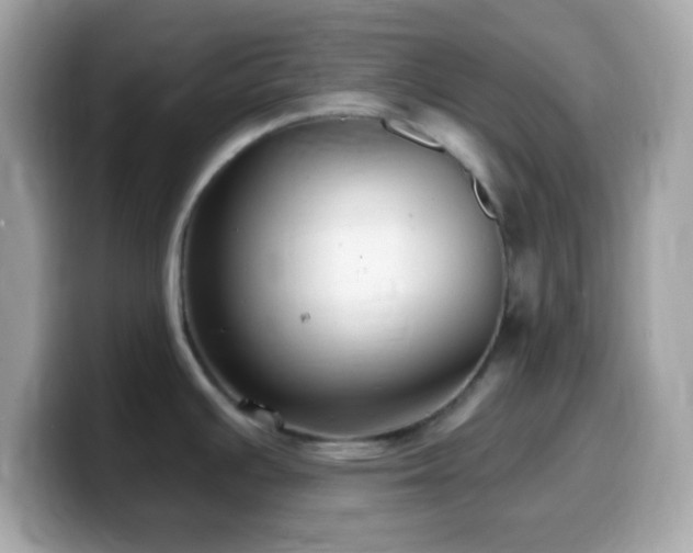 X0000099961391200805231333