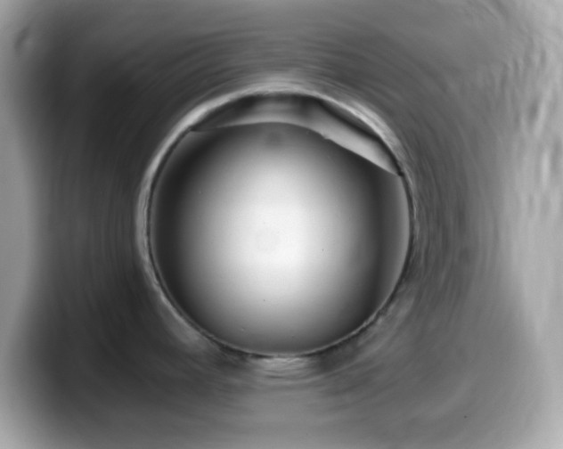 X0000099961392200805231333
