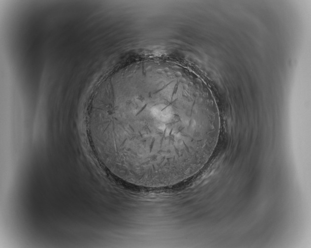 X0000099961393200805231332