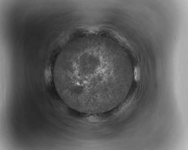 X0000099961395200805231332