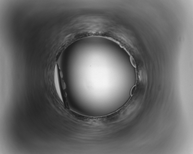 X0000099961396200805231332