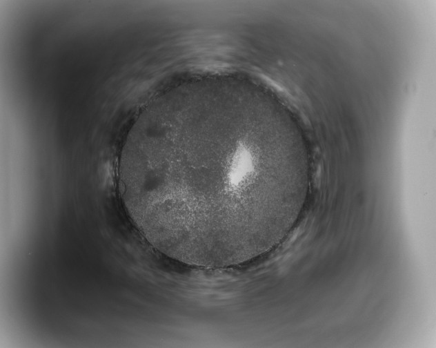 X0000099961397200805231332
