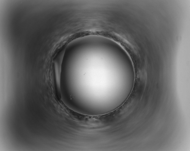 X0000099961398200805231332