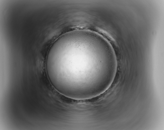 X0000099961399200805231332