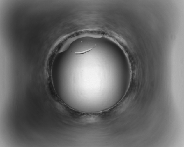 X0000099961400200805231332