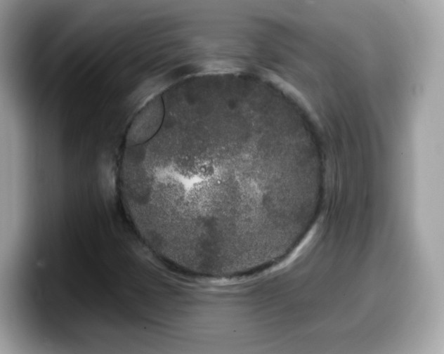 X0000099961401200805231332