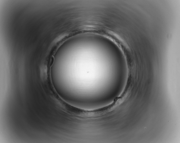 X0000099961402200805231332