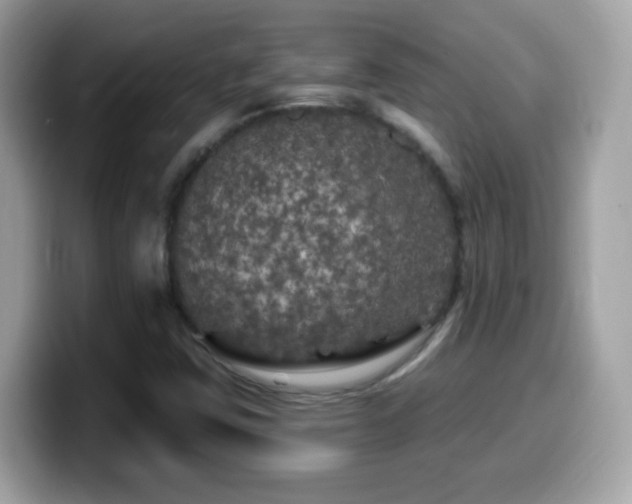 X0000099961403200805231332