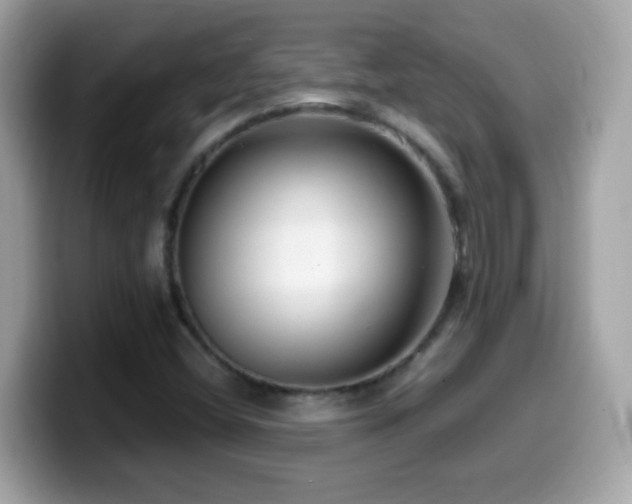 X0000099961404200805231332