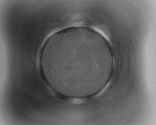 X0000099961405200805231332