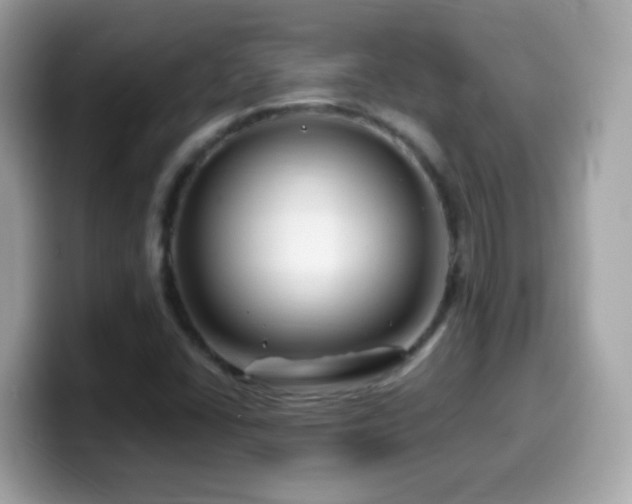 X0000099961406200805231332