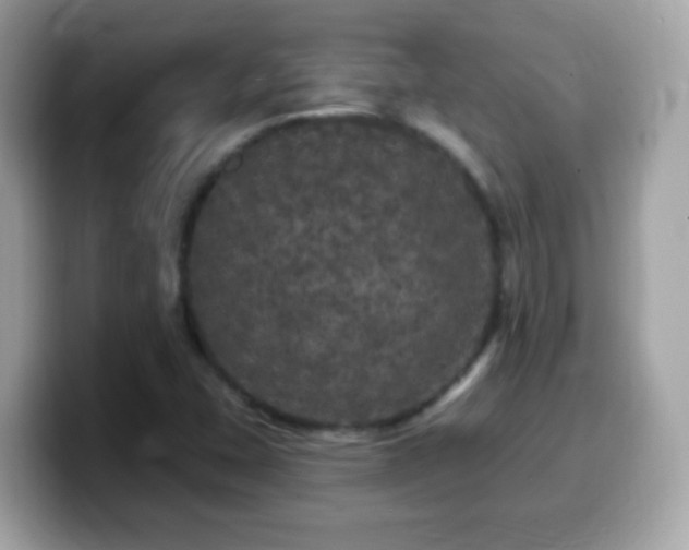 X0000099961407200805231332