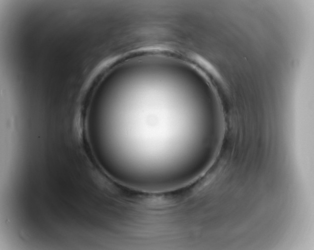X0000099961408200805231332
