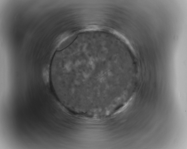 X0000099961409200805231332