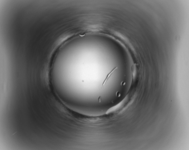 X0000099961410200805231332
