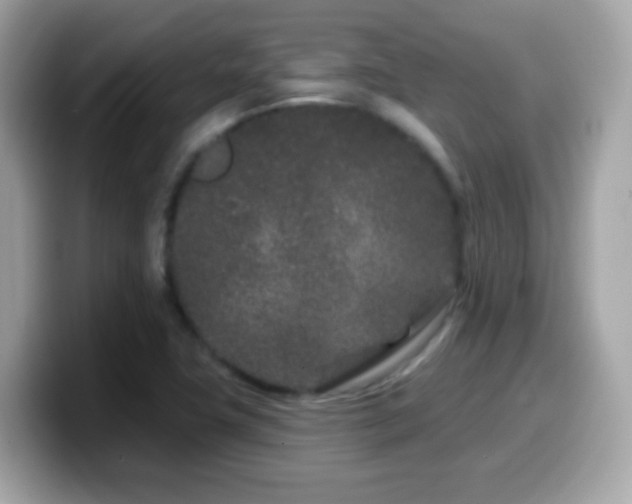 X0000099961411200805231332