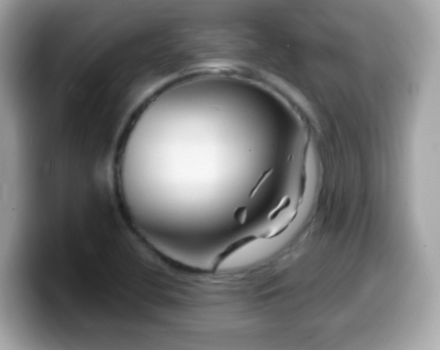 X0000099961412200805231332
