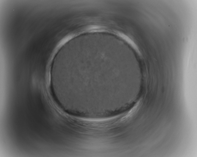 X0000099961413200805231332