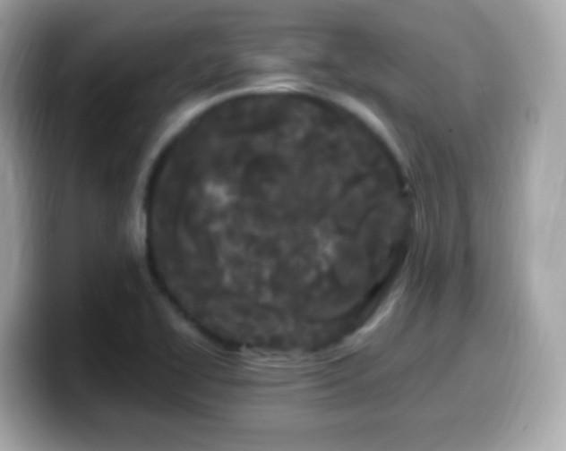 X0000099961414200805231332