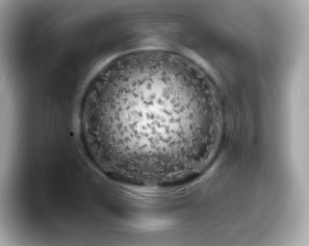 X0000099961415200805231332