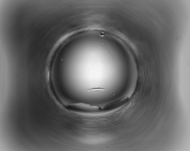 X0000099961416200805231332