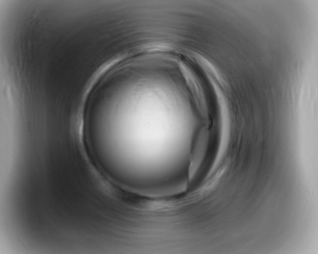 X0000099961418200805231332